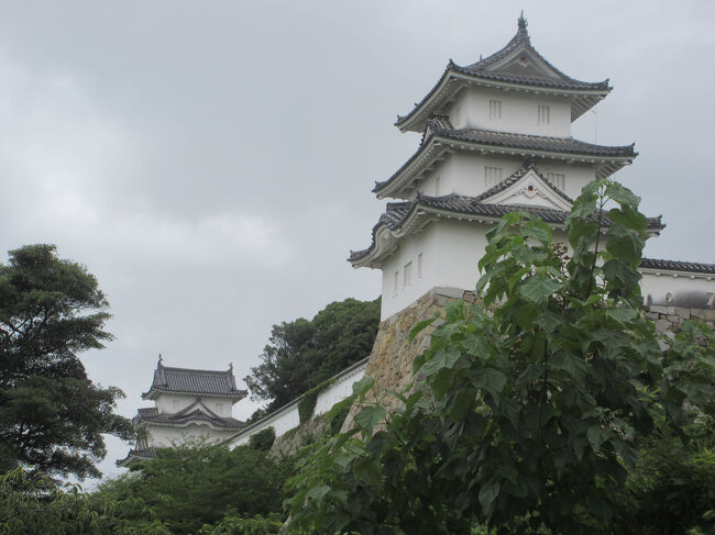 ミステリーツアーの3日目です。1日目と2日目は岡山県内をめぐりました。岡山も広いから今日はどこに行くのか、もうこの辺りから下調べもせずにきていました。そうしたら、兵庫県は明石市におじゃま。さらに、なんと淡路島に突入、来たことがなかったからわーいと思っていたら、結局島を縦断する形でその先の徳島県にまで行ってしまいました。少し前に一人旅で徳島の鳴門に行きましたが、まさか2度も来るとは思ってもみなかったです。3日目の本日は明石の観光からになります。どうぞご覧ください。