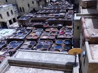 日の没する大地マグレブ～モロッコ大周遊16日間の旅～９日目・迷宮都市フェズでとうとうキレる～～