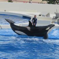 観音寺への旅②　観音寺からの帰路　須磨シーワールドに初訪問