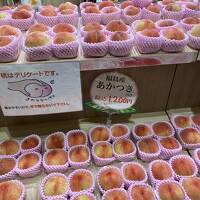 福島旅行1日目 仙台空港から二本松へ移動編