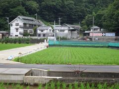 静岡☆なまこ壁の街並みが見たくて松崎へ＆田園風景の中の一軒宿「桜田温泉　山芳園」宿泊記