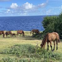 与那国島・与論島 2024年7月 ①日目
