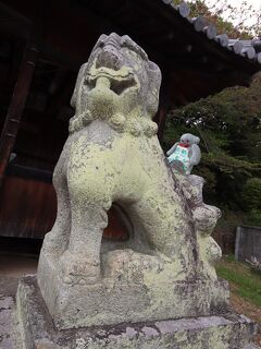 京都 & 姫路2024(9)姫路は遺跡の宝庫だった