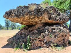 アラ還夫婦　30年以上ぶりのハワイ旅行