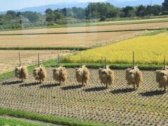 東北一人旅２０２２第3弾：黒石・弘前編