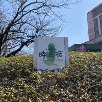 2024.3　富士山一周旅 ④　御殿場高原 時之栖に宿泊