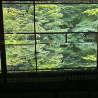 ひとり旅～京都　青もみじ～①瑠璃光院