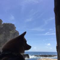 【犬とおでかけ】湯快リゾートプレミアム白浜御苑
