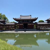 ひとり旅～京都　青もみじ～②宇治