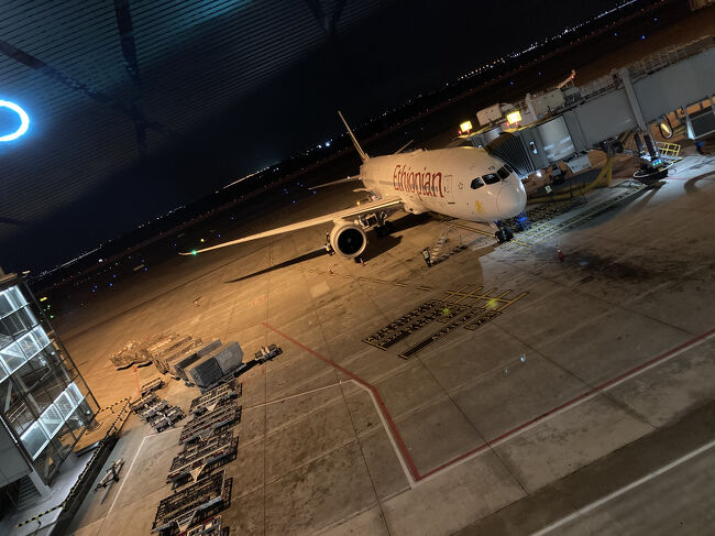 アジア圏内など近所の散歩に等しい筆者にとってはいよいよここからが旅の真髄です。<br />前回のエバー航空で台北からバンコクまで移動して来た後は、ここからエチオピア航空でエチオピアのアディスアベバを経由しナミビアのウィントフックまで向かいます。<br />まさにこれこそがDash著作の旅行記の核、トンガだ、マイアミだ、アディスアベバだ、やたら変な場所が出て来てあまりに日本人に馴染みが無さすぎて全然読まれない旅行記の始まりです。<br />