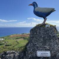 与那国島・与論島 2024年7月 ③日目