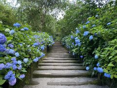 ひとり旅～鎌倉　明月院～