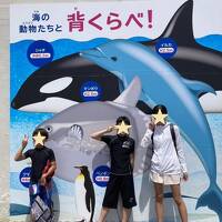 千葉県　安房鴨川　鴨川シーワールド　鴨川市納涼花火大会　　2024/07/29(月)から30日