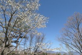 春の上信越バカンス♪　Vol.44　北軽井沢：春の美しい風景♪