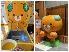 鯛めし