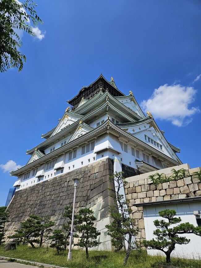 今回の旅のハイライト<br />●大阪城<br /><br />楽しみにしてたUSJと大阪観光！！<br />仕事関係でパークフロントホテルの宿泊券を頂いたので♪<br />まず前半は大阪観光編です。っと言っても大阪城しか行ってませんが…暑さと子連れだと1箇所が限界と判断しました( •̀ω •́ゞ)<br />次はUSJ編なんですが、もードタバタです 笑<br />それではまず大阪城編を備忘録として綴っていきます。