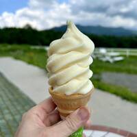 飯盛山と清泉寮を歩いてきました