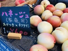 福島県