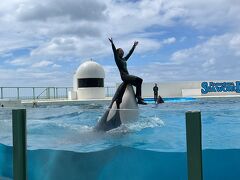 日帰り鴨川シーワールドでずぶ濡れになってきました