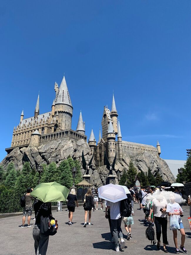 本当はドンキーコングエリアも楽しめたらいいなーと思って去年年パスにしたのですが<br />残念ながら2024年後半にオープン延期・・・。<br />息子に聞いてみたところ、ワンピースのプレミアショーがみたいから夏に行きたいそうで。<br />8/31まで年パスが使えるのて、夏休み最後の日にGOGO!!USJ<br />何だかんだと4年連続USJに来てるので、これで当分大阪に来ることはないかなっと。<br /><br />ハリーポッターが好きな私ですが、子供と2人だし、息子の身長などの兼ね合いで一度もハリーポッターのアトラクションは乗ってない・・・。<br />今回はさすがに乗りたい&大阪グルメも堪能したい<br />さてさてどうなる??