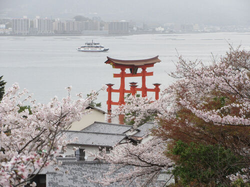2023年3月 広島県・宮島 桜を求めて散歩をしました。』宮島・厳島
