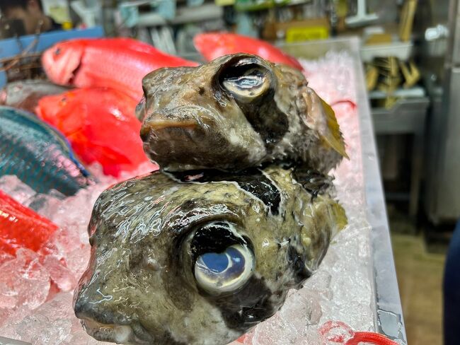 小5と小2の魚好き男子2人との沖縄旅行に行ってきました！市場、海釣り、磯遊び、シュノーケリングと毎日お魚に触れる充実の五日間。