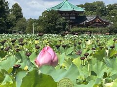 夏の東京をぶらぶら ８月後編