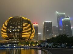 春の杭州１泊２日旅No.３　城市陽台から見る杭州の夜景　太子湾公園でチューリップが見たかった　お昼は武漢名物「三鮮豆皮」