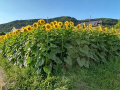 長野　2024夏満喫旅！