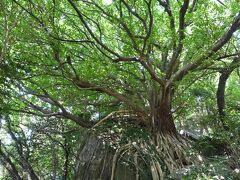 2024夏　雲仙・九州ホテルと宮崎旅館に泊まり比べ　雲仙・普賢岳・島原・天草巡り