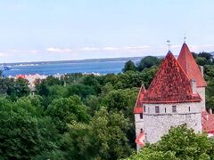 英語のできないおじさんの一人旅　　欧州9か国　　タリン