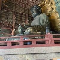 奈良の大仏に会いに行く旅！