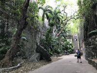 Norwegian Pearlで行くバハマクルーズ２０２３　Day5-4（神秘的な雰囲気のQueen’s Staircase）