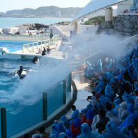 今夏もシャチの水を浴びに鴨川へ　1．鴨川シーワールド