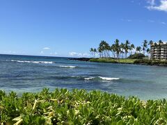 2024年夏休み　ハワイ旅行　ハワイ島＆オアフ島　2～3日目