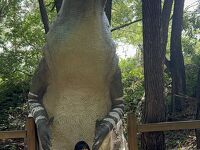 カルガリー動物園へ！