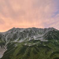 雷鳥に会いに立山へ