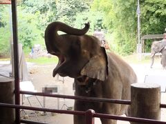 チェンマイ～アユタヤ～バンコク　子連れ寝台列車の旅