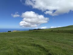 2024ハワイ島で夏休み 4日目 コハラコーストで乗馬