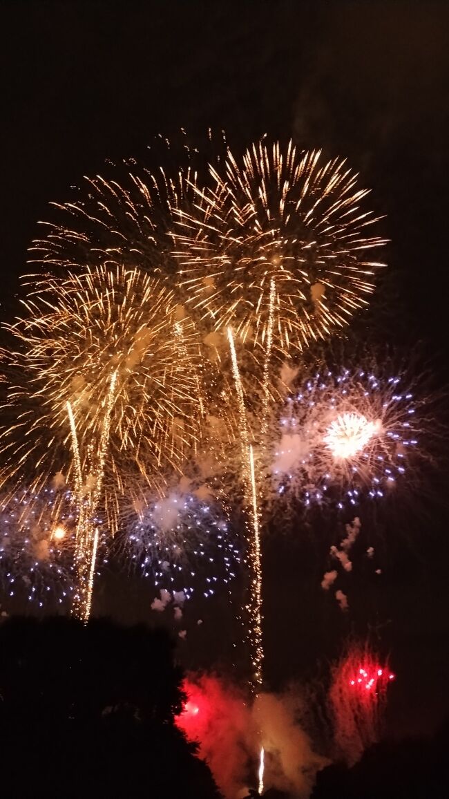 第50回高崎祭りと世界遺産 富岡製糸場などを巡る日帰り群馬旅です