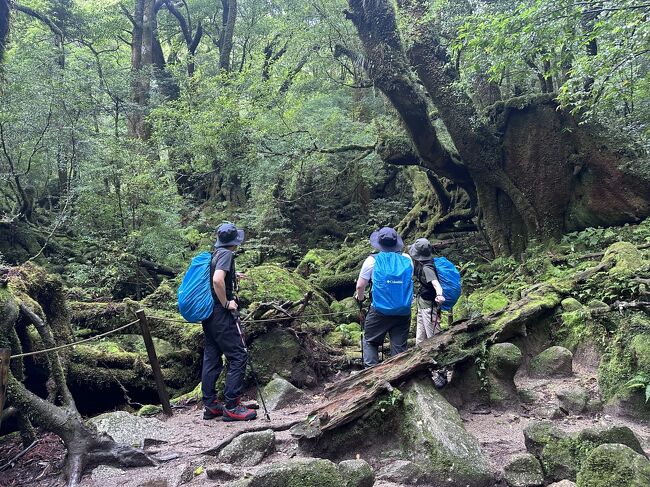 JN(熟年)夫婦の屋久島旅行記 part2 です。<br />2023年9月に西表島を訪問して自然の雄大さ、美しさに魅了され、2024年の夏はJN妻が以前から行きたいと言っていた屋久島を訪問。<br />出発直前の台風発生や不測のスケジュール変更、そもそも熟年で初トレッキングに挑戦という困難を抱えながらも、それらを凌駕する美しき屋久島の自然に大満足のJN夫婦。<br />本編は、屋久島旅行2日目、ジブリの森と言われる白谷雲水峡トレッキングの記録です。<br />楽しんでいただけたら幸いです。(*^^)v<br /><br />旅行日程 2024.7.24-28<br /> 1日目 移動、トレッキング用品調達(レンタル)<br /> 2日目 白谷雲水峡トレッキング(プライベートツアー)<br /> 3日目 島内観光(レンタカーでドライブ)<br /> 4日目 縄文杉トレッキング(プライベートツアー)<br /> 5日目 移動(帰宅)<br /><br />※白谷雲水峡は台風10号の被害により、2024年9月21日から、さつき吊り橋を通らない<br /> コースに変更になりました。楠川歩道入口からは従来通りです。