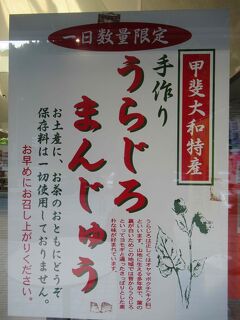 信州蔦木宿から、甲斐大和まで、2024年スタラリ山梨県分は今回でクリアする！