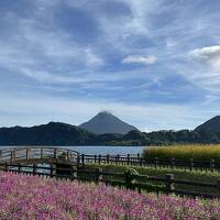 姪っ子ちゃんの夏休み 2024　鹿児島絶景＆温泉旅☆指宿温泉編