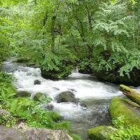 みちのく⑦つの絶景めぐり2日間～五能線・奥入瀬渓谷・十和田湖・十二湖青池・鶴の舞橋～クラブツーリズム