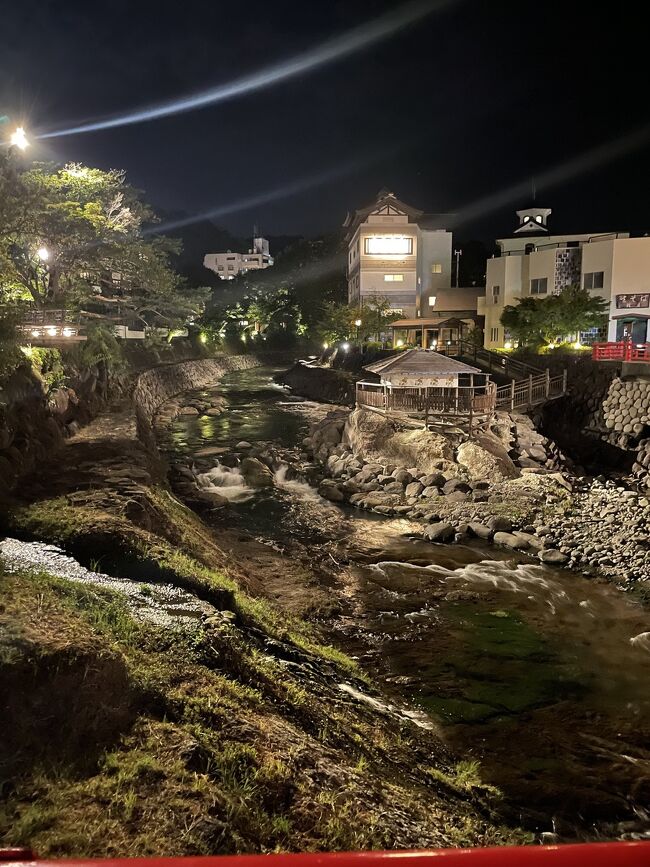 来年の予定を考え、早めのXX周年結婚記念日を実行しました。温泉・浴衣で散策・近場などを考え、修善寺温泉にしました。<br />