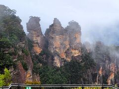 傘寿のお祝いシドニー記念旅行１