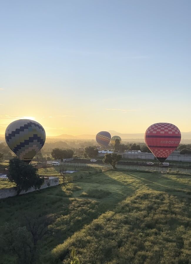 昨年夏に計画していた旅が実現できず、1年待ってやっとメキシコ行きが実現します!普段の旅行記を見ている人ならご存知の通り、いつだって言語は話せませんが、泣いちゃうこともありそうだけどと腹をくくって楽しんできた結果、大満足の旅になりました!<br /><br />旅費目安<br />◾️航空券:ANA国際特典予約(燃油サーチャージ6万前後)<br />◾️宿泊:5泊。10000円~15000円/1泊<br />◾️交通費:地元ーセントレア、メキシコシティーグアナファト、グアナファトーサンミゲルデアジェンデ、サンミゲルデアジェンデーメキシコシティ、Uber利用7回、成田ー東京、東京ー地元。40000円くらい<br />◾️娯楽費:オプショナルツアー2件、アエロメヒコ、フリーダカーロ博物館、35000円くらい<br />◾️食費などand more 40000円くらい<br /><br />この旅行記はメキシコシティ後半編その1です~。<br />メキシコ大挑戦のひとり旅<br />⚪︎メキシコシティ(前半)編<br />https://4travel.jp/travelogue/11921287<br />⚪︎グアナファト編<br />https://4travel.jp/travelogue/11923831<br />⚪︎サンミゲルデアジェンデ編<br />https://4travel.jp/travelogue/11925156<br />⚫︎メキシコシティ(後半1)編<br />https://4travel.jp/travelogue/11926576<br />⚪︎メキシコシティ(後半2)編【完】<br />https://4travel.jp/travelogue/11927641