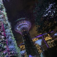 夏休み！今年も家族でバリ島へ2024⑥～ちょこっとシンガポール編