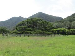 沖縄北部離島旅行（伊平屋島編）