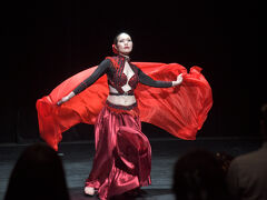 “妖艶&華麗”ベリーダンスは素晴らしい
